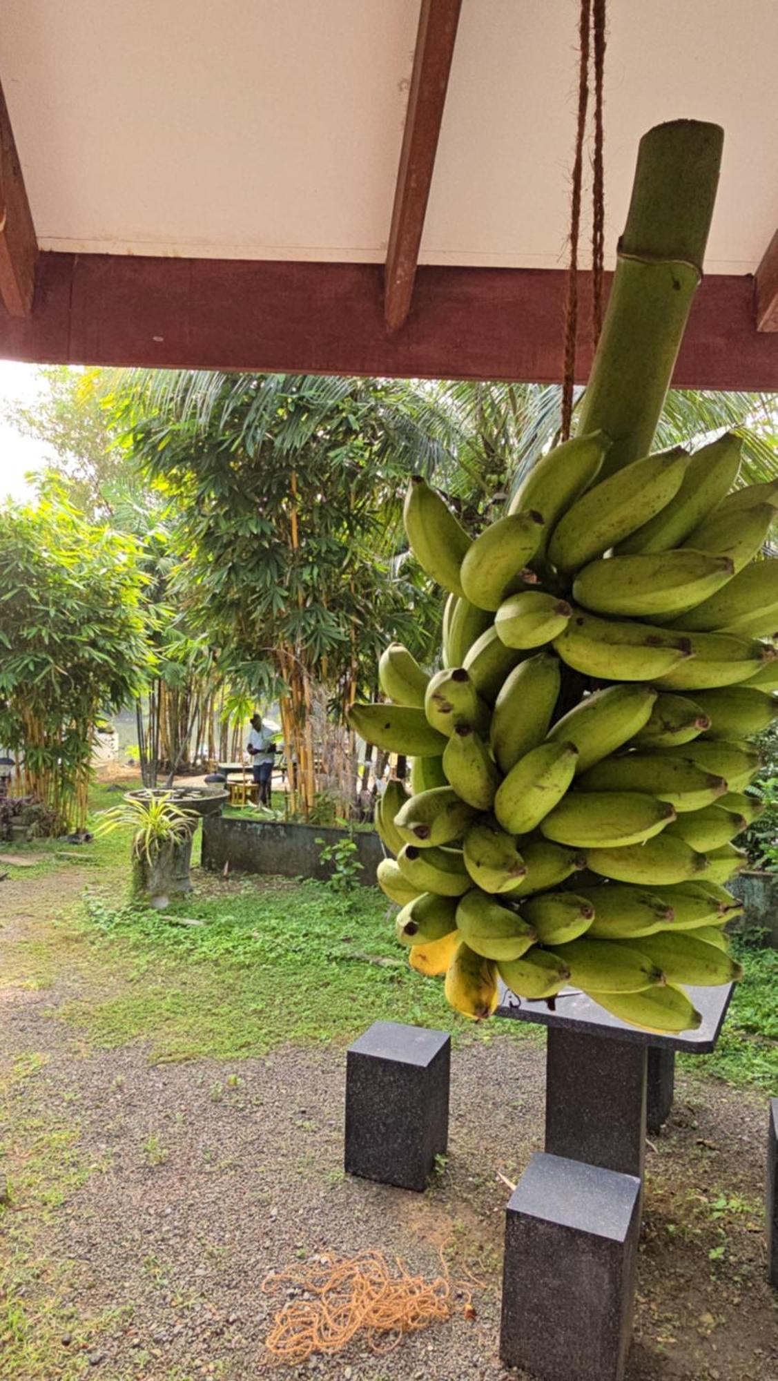 My Paradise Ahangama Exterior photo